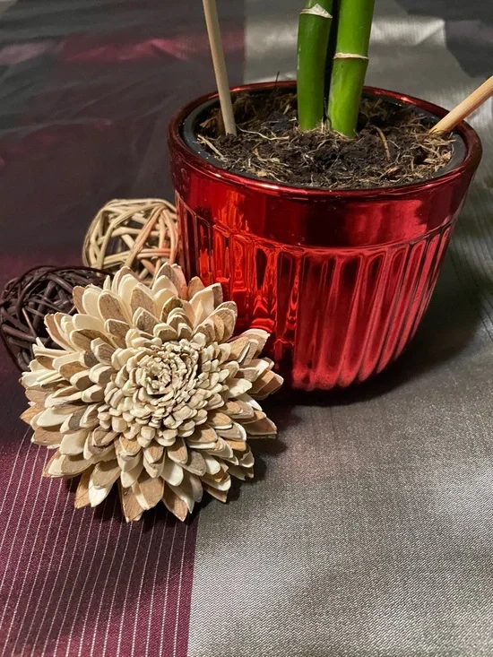 Ceramic Planter -Red - Picture 2 of 2
